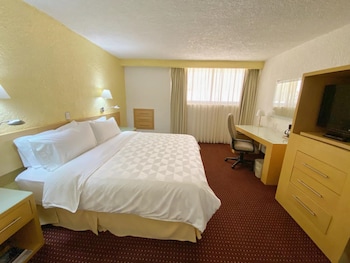 Standard Room, 1 King Bed (Walk-In Shower)
