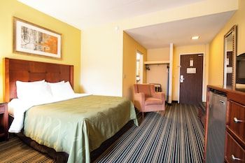Deluxe Single Room, Garden View