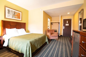 Standard Double Room, 2 Double Beds, Non Smoking