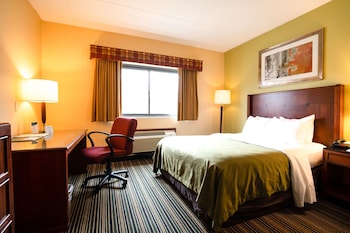 Room, 1 Queen Bed, Non Smoking