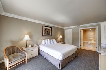 Suite, 1 King Bed