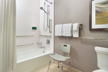 Room, 1 King Bed with Sofa bed (Mobility/Hearing Access, Transf Shwr)