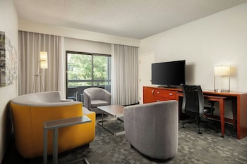 Suite, 1 King Bed with Sofa bed