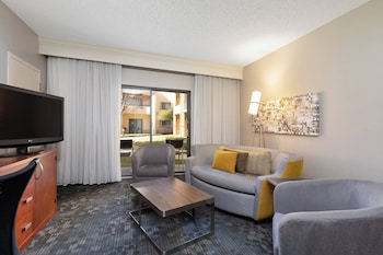 Suite, 1 King Bed with Sofa bed (Hearing Accessible)