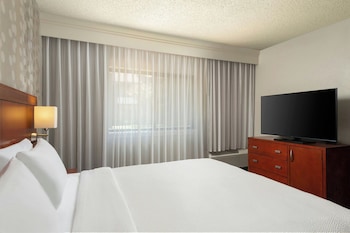 Suite, 1 King Bed with Sofa bed (Hearing Accessible)