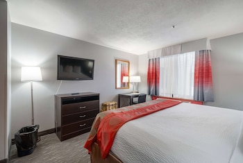 Suite, 1 King Bed, Non Smoking (One-Bedroom)