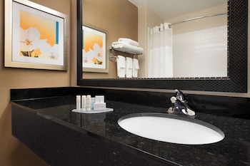 Executive Suite, 1 King Bed with Sofa bed