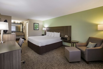 Standard Room, 1 King Bed, Smoking, Refrigerator & Microwave