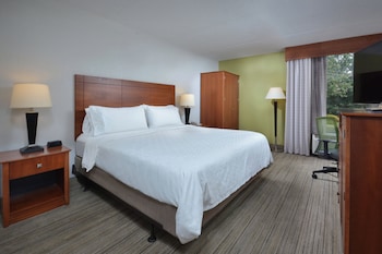 Standard Room, 1 King Bed, Roll-in Shower (Mobility Accessible)