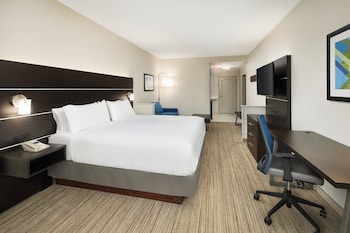 Suite, 1 King Bed with Sofa bed