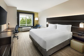 Room, 1 King Bed, Accessible (Hearing Accessible, Roll-in Shower)