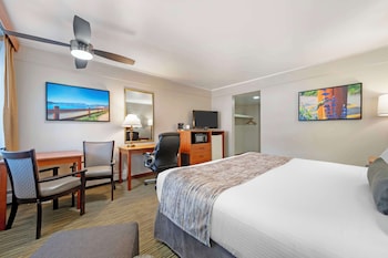 Standard Room, 1 King Bed, Non Smoking, Refrigerator