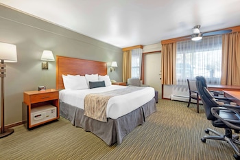 Standard Room, 1 King Bed, Non Smoking, Refrigerator & Microwave (Pet Friendly)