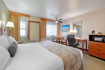 Standard Room, 1 King Bed, Non Smoking, Refrigerator & Microwave (Pet Friendly)