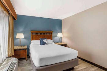 Suite, 1 King Bed with Sofa bed, Accessible, Non Smoking (with Sofabed)