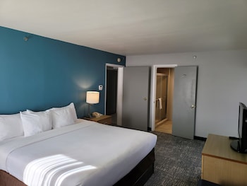 1 Bedroom Suite, 1 King Bed, Non Smoking (2 Person Sofa Bed, Upgrade)