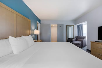 Suite, 1 King Bed with Sofa bed, Non Smoking (2Person Sofa Bed,Upgrade,Pet Friendly)