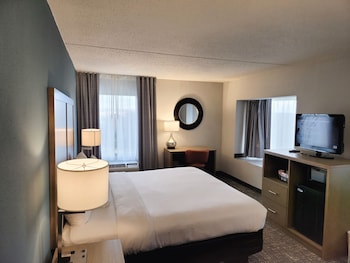 1 Bedroom Suite, 1 King Bed, Non Smoking (2 Person Sofa Bed, Upgrade)