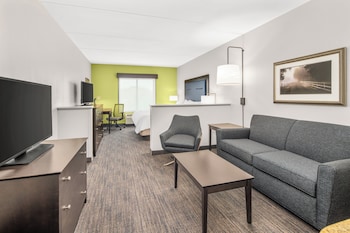 Suite, 1 King Bed with Sofa bed