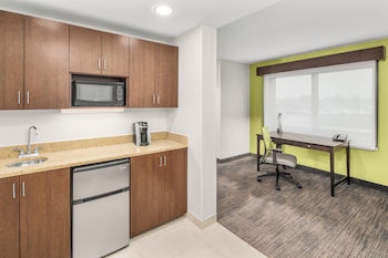 Suite, 1 King Bed with Sofa bed