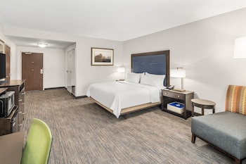 Standard Room, 1 King Bed, Accessible (Comm, Mobil, Roll In Shwr)