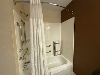 Standard Room, 1 King Bed, Accessible, Bathtub (with Single Sofabed)
