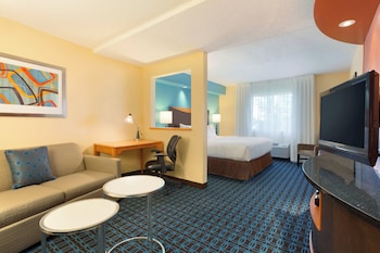 Executive Suite, 1 King Bed with Sofa bed (Mobility/Hearing Accessible, Tub)