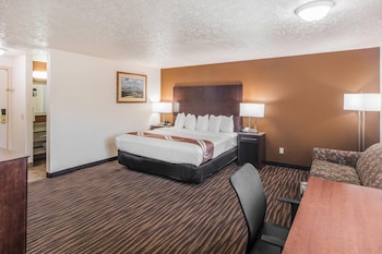 Suite, 1 King Bed with Sofa bed, Non Smoking (Efficiency)