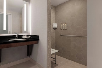 Room, 1 King Bed with Sofa bed (Mobility Accessible, Transfer Shower)