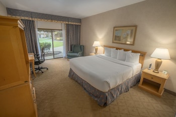 Room, 1 King Bed, Accessible