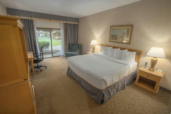 Room, 1 King Bed, Accessible