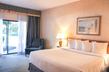 Room, 1 King Bed, Accessible