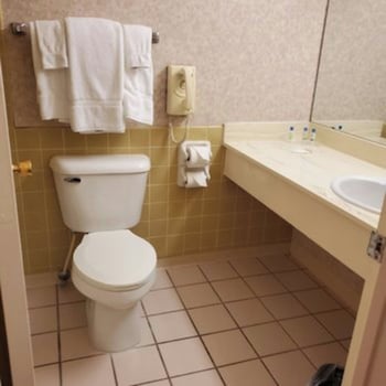 Room, 1 King Bed