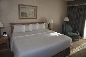 Room, 1 King Bed, Accessible
