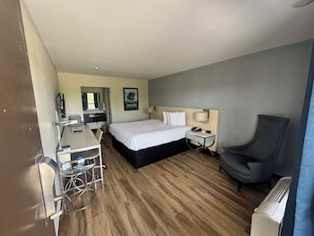 Room, 1 King Bed, Smoking