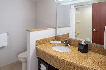Room, 1 King Bed (Mobility/Hearing Access, Roll-in Shwr)
