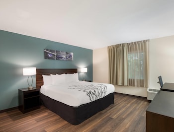 Room, 1 King Bed, Accessible, Non Smoking