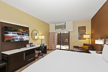Room, 1 King Bed (Patio)