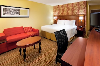 Suite, 1 King Bed with Sofa bed (Mobility/Hearing Access, Roll-In Shwr)