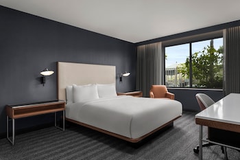 Room, 1 King Bed with Sofa bed (Mobility Accessible, Roll-In Shower)