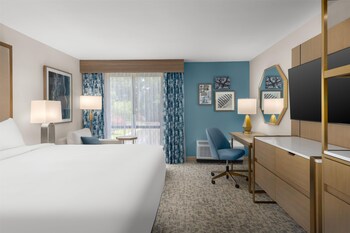 Room, 1 King Bed