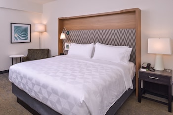 Standard Room, 1 King Bed, Accessible (Mobility, Roll-In Shower)