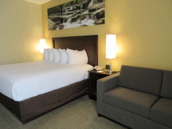 Room, 1 King Bed, Non Smoking