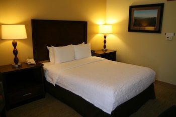 Room, 1 Queen Bed, Non Smoking