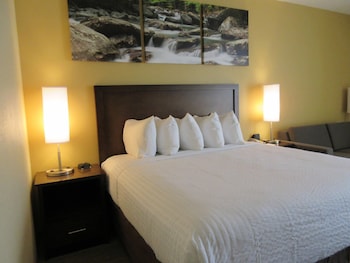 Room, 1 King Bed, Non Smoking