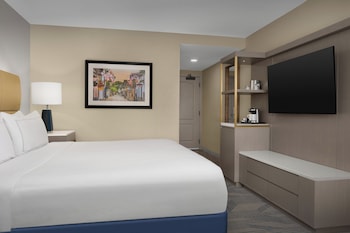 King, Room, Accessible, Bathtub