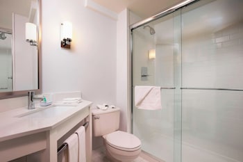 Room, 1 Queen Bed, Roll-in Shower