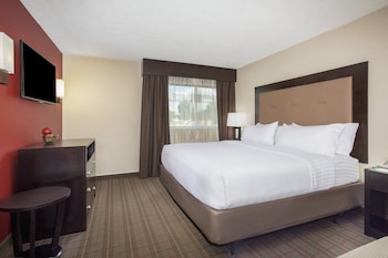 Suite, 1 King Bed, Accessible (Hearing, Roll-In Shower)