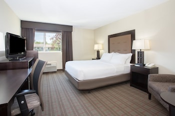 Standard Room, 1 Queen Bed, Accessible (Hearing, Roll-In Shower)