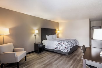 Superior Room, 1 King Bed, Non Smoking